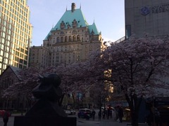 Vancouver Hotelと桜