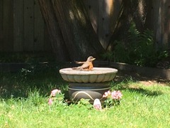 IMG_5127