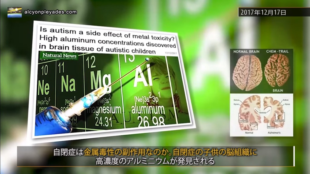 ワクチン　アルミ　自閉症　APN71