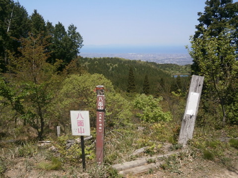 202104ALLJA (26)