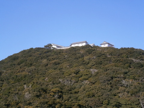 P1084890