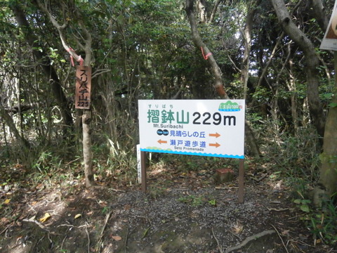 P5172034