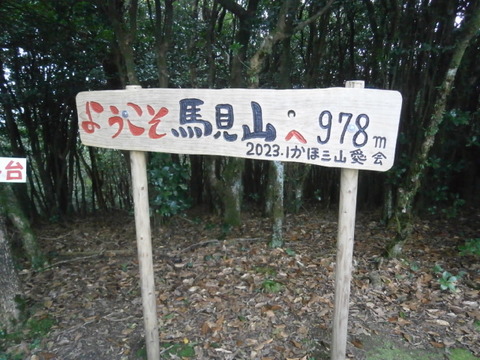P9306110