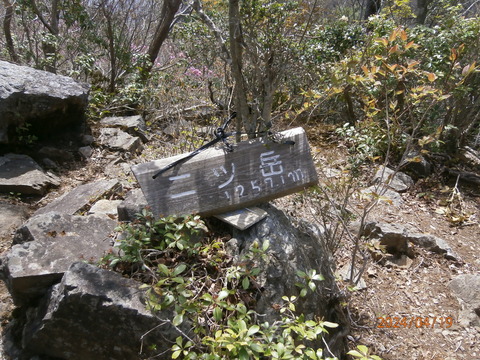 202404高千穂町二ツ岳 (5)