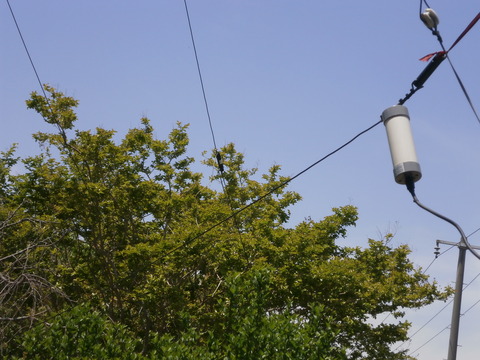 P5054725