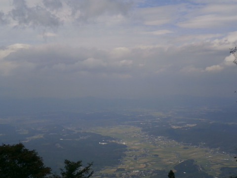 P9306116