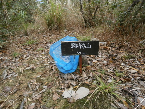 202312宇美町井野山 (16)