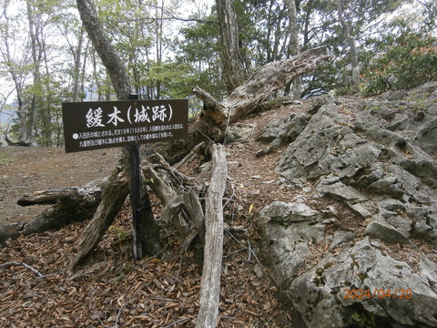 202404緩木山越敷山 (20)