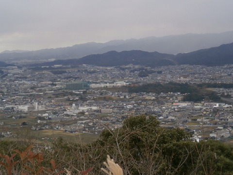 202312宇美町井野山 (10)