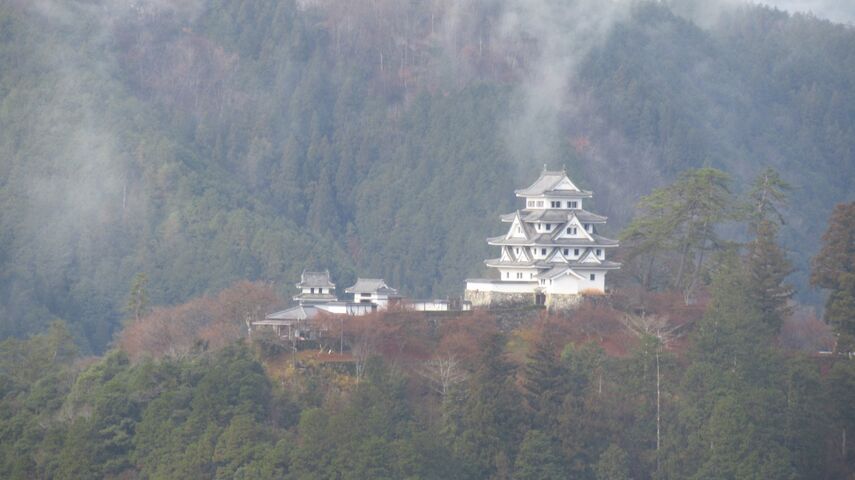 金の御城印 郡上八幡城 Kanaの御朱印三昧 金の御城印 郡上八幡城 Kanaの御朱印三昧