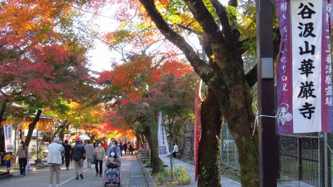 紅葉狩り 谷汲山 華厳寺 Jo2irrの無線三昧