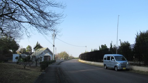 ひばりが丘公園