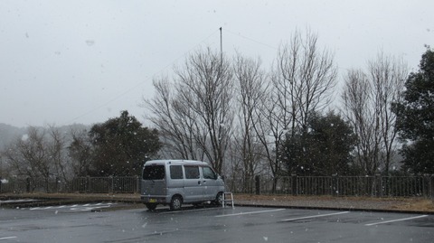 おばあちゃん市2