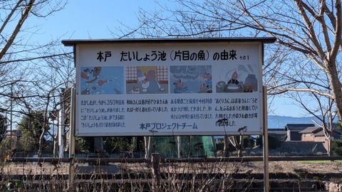 PXL_20251222_002017957