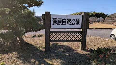 PXL_20251222_043557359.MP