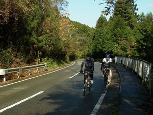 RIMG0656