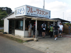 P9190025