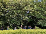 6-IMG_4578