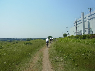 RIMG3941