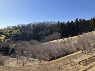 04-石川町の丘-02