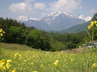 17-nakayama
