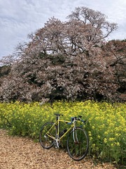 05-IMG_4452