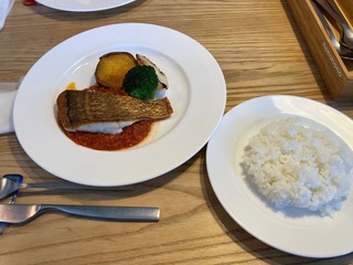 12-IMG_4225