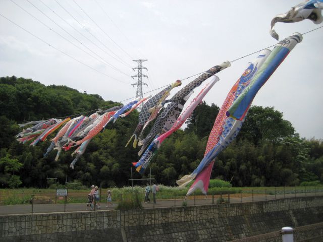 7532f8e9.jpg