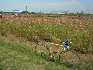RIMG3961
