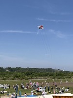 IMG_9803