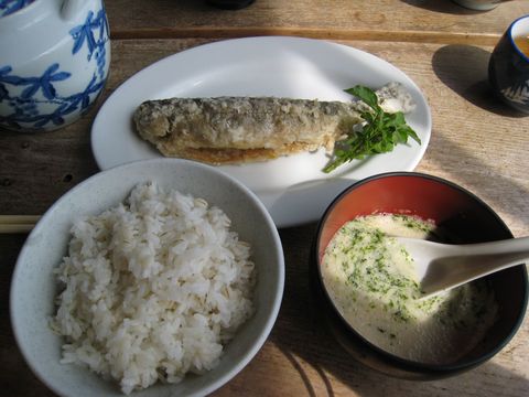 008_IMG_8661