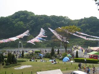 007_IMG_8654