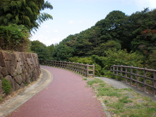 P9190018