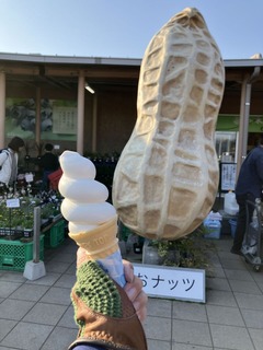 21-3c40138d-6347-436e-88d8-b6aca0d8ec9d