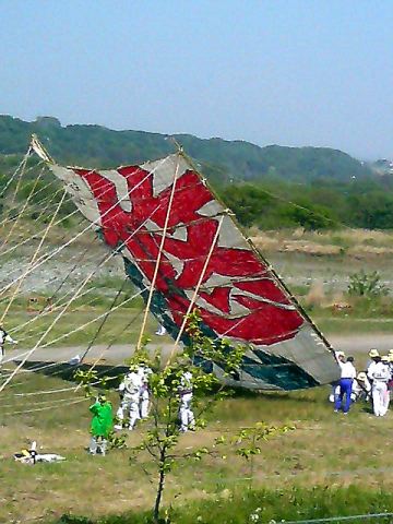 f518fa15.jpg