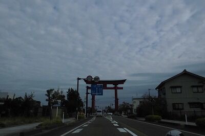 CIMG8131