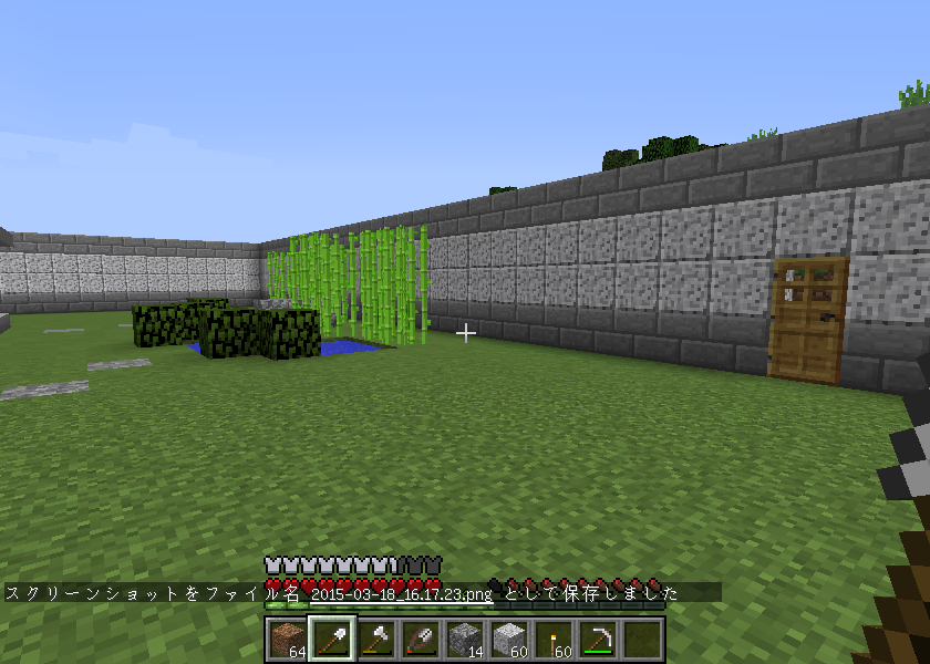 日記 In Minecraft