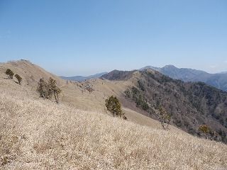 P5050105.jpg