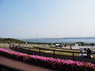 P5040035.jpg