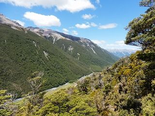 P1040234.jpg