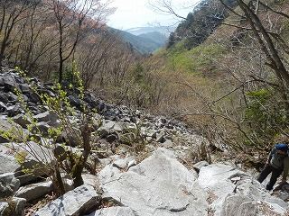 P4280005.jpg