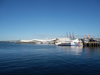 P1050261.jpg