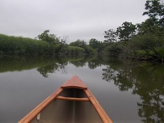 DSCN0060.jpg