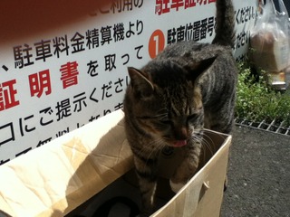 写真(6)