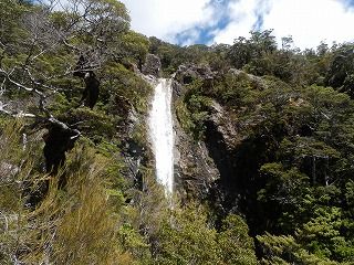 P1040201.jpg