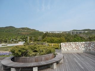 P5040050.jpg