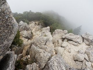 P9140092.jpg