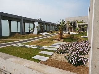 P5040041.jpg