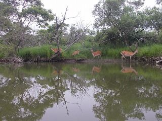 DSCN0051.jpg
