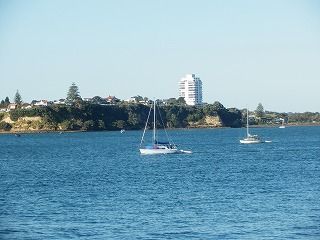 P1050265.jpg